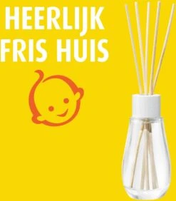 Robijn Home Zwitsal Geurstokjes - 45 Ml - Fruitig -Huishoud Verkoop 1052x1200