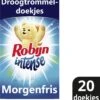 Robijn Droogtrommeldoekjes Intense 20 Stuks
