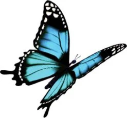 4x Robijn Klein & Krachtig Wasmiddel Black Velvet 1,19 Liter -Huishoud Verkoop 1200x1118