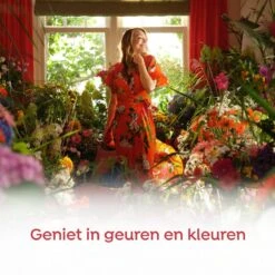 Robijn Klein & Krachtig Rosé Chique Vloeibaar Wasmiddel - 8 X 19 Wasbeurten - Voordeelverpakking 12 Robijn Klein & Krachtig Rosé Chique Vloeibaar Wasmiddel - 8 X 19 Wasbeurten - Voordeelverpakking -Huishoud Verkoop 1200x1200 163