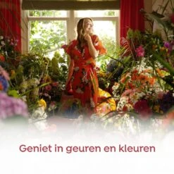 Robijn Klein & Krachtig Zwitsal Vloeibaar Wasmiddel - 2 X 34 Wasbeurten - Voordeelverpakking -Huishoud Verkoop 1200x1200 267