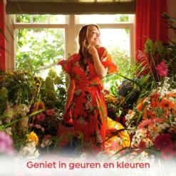 Robijn Klein & Krachtig Color Vloeibaar Wasmiddel - 8 X 20 Wasbeurten - Voordeelverpakking -Huishoud Verkoop 1200x1200 291