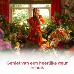 Robijn Home Geurstokje Rosé Chique - 45 Ml -Huishoud Verkoop 1200x1200 403