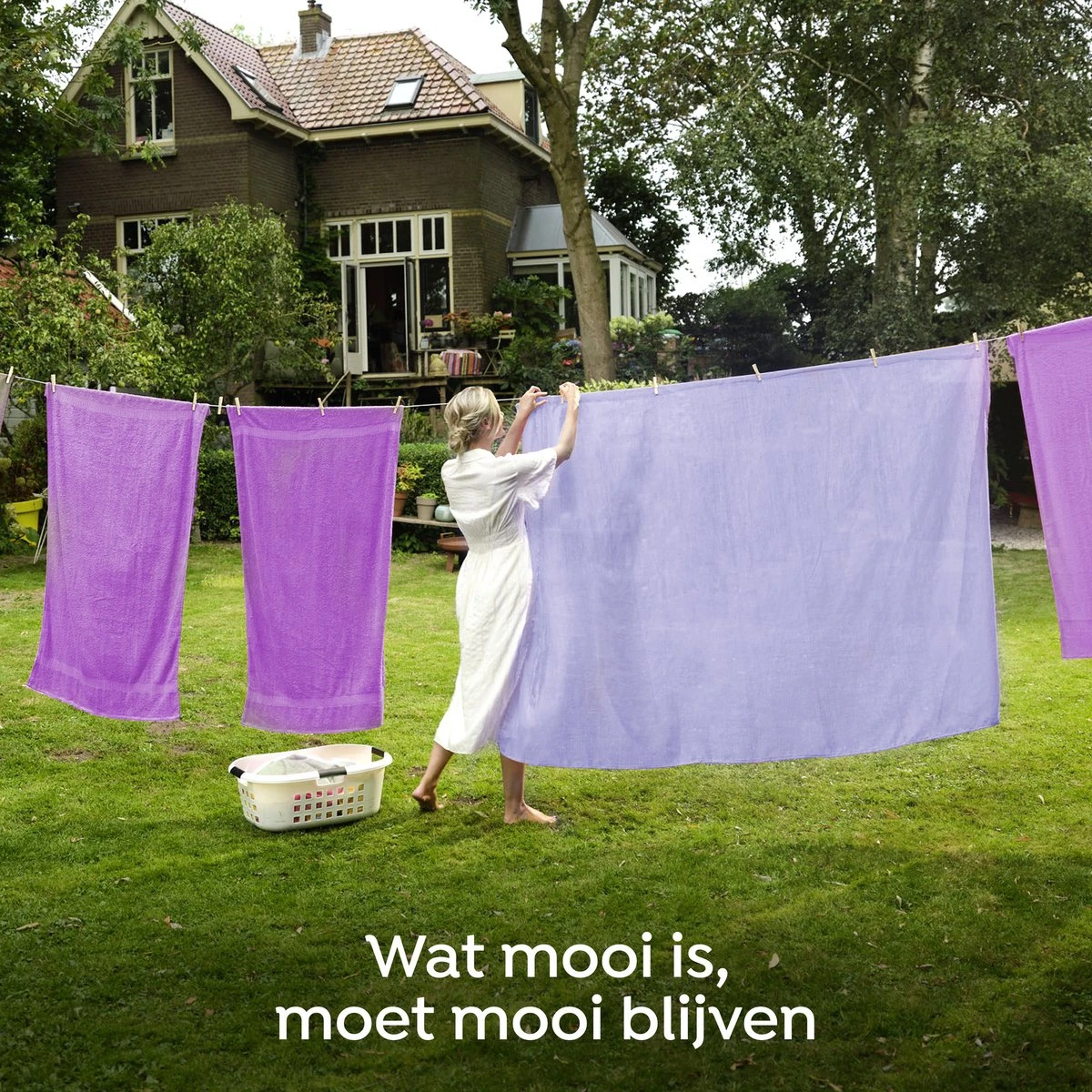 Robijn Creations Paarse Orchidee & Bosbessen Wasverzachter - 8 X 30 Wasbeurten - Voordeelverpakking 9 Robijn Creations Paarse Orchidee & Bosbessen Wasverzachter - 8 X 30 Wasbeurten - Voordeelverpakking - Afbeelding 7