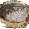 Abalone - Oplaadschelp - Incl 100 Gram Bergkristal - Yoga - Mediteren - Wierook - Edelsteen - Chakra - Edelsteen -Huishoud Verkoop 1200x897
