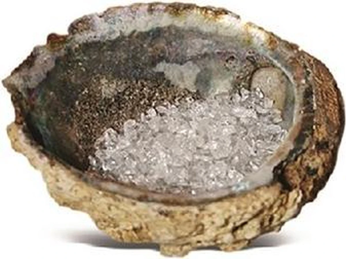 Abalone - Oplaadschelp - Incl 100 Gram Bergkristal - Yoga - Mediteren - Wierook - Edelsteen - Chakra - Edelsteen 3 Abalone - Oplaadschelp - Incl 100 Gram Bergkristal - Yoga - Mediteren - Wierook - Edelsteen - Chakra - Edelsteen