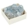 Doosje Met Een Ruwe Edelsteen Celestien -Huishoud Verkoop 952x1200